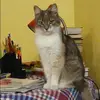 Отзыв от Арина Юдина